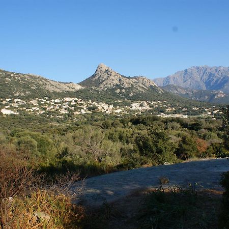 Belle Location Sur Lumio Avec Vue Remarquable Et Jardin Villa Kültér fotó