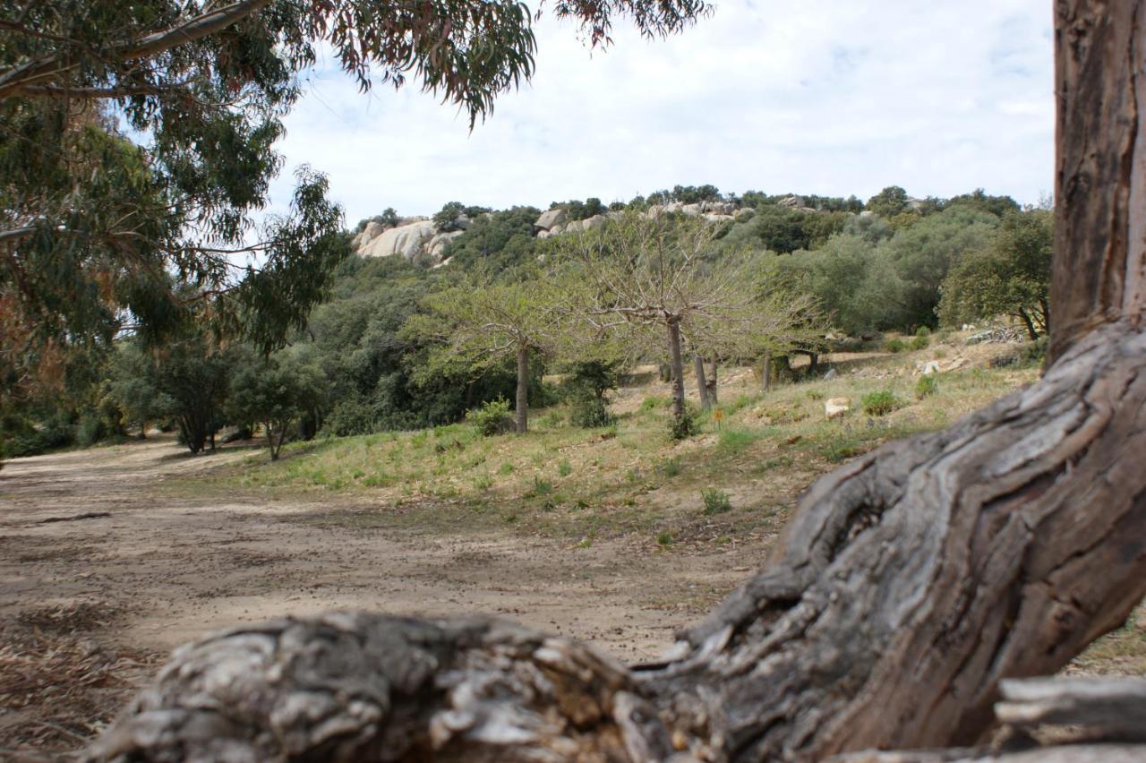 Belle Location Sur Lumio Avec Vue Remarquable Et Jardin Villa Kültér fotó