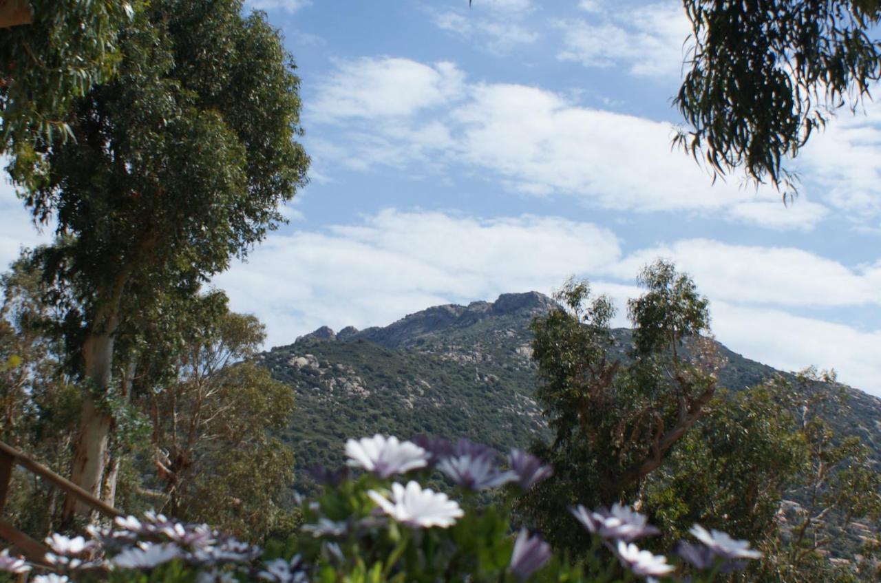 Belle Location Sur Lumio Avec Vue Remarquable Et Jardin Villa Kültér fotó