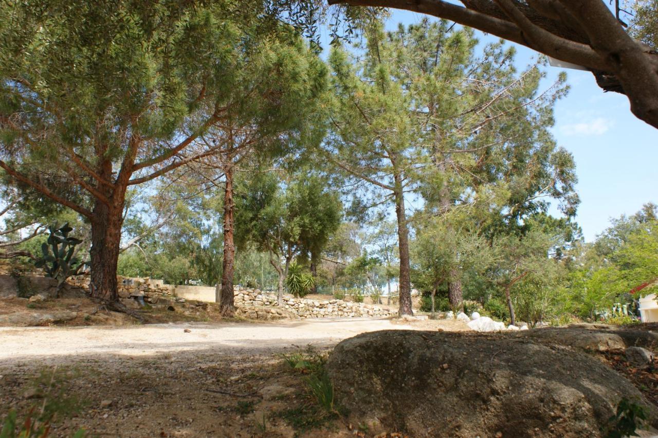 Belle Location Sur Lumio Avec Vue Remarquable Et Jardin Villa Kültér fotó