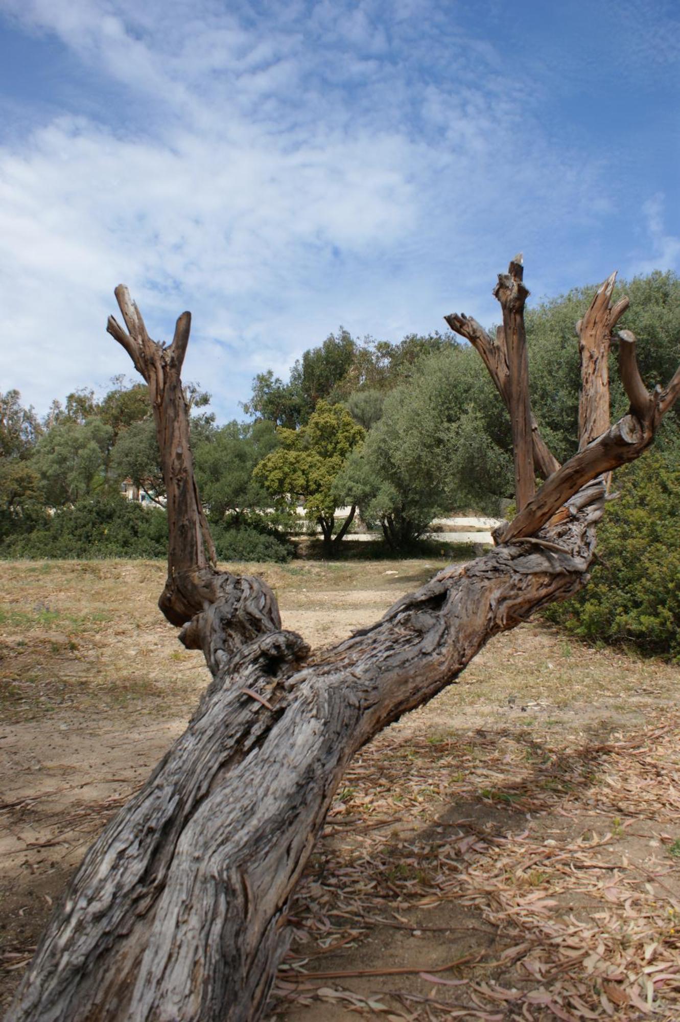 Belle Location Sur Lumio Avec Vue Remarquable Et Jardin Villa Kültér fotó