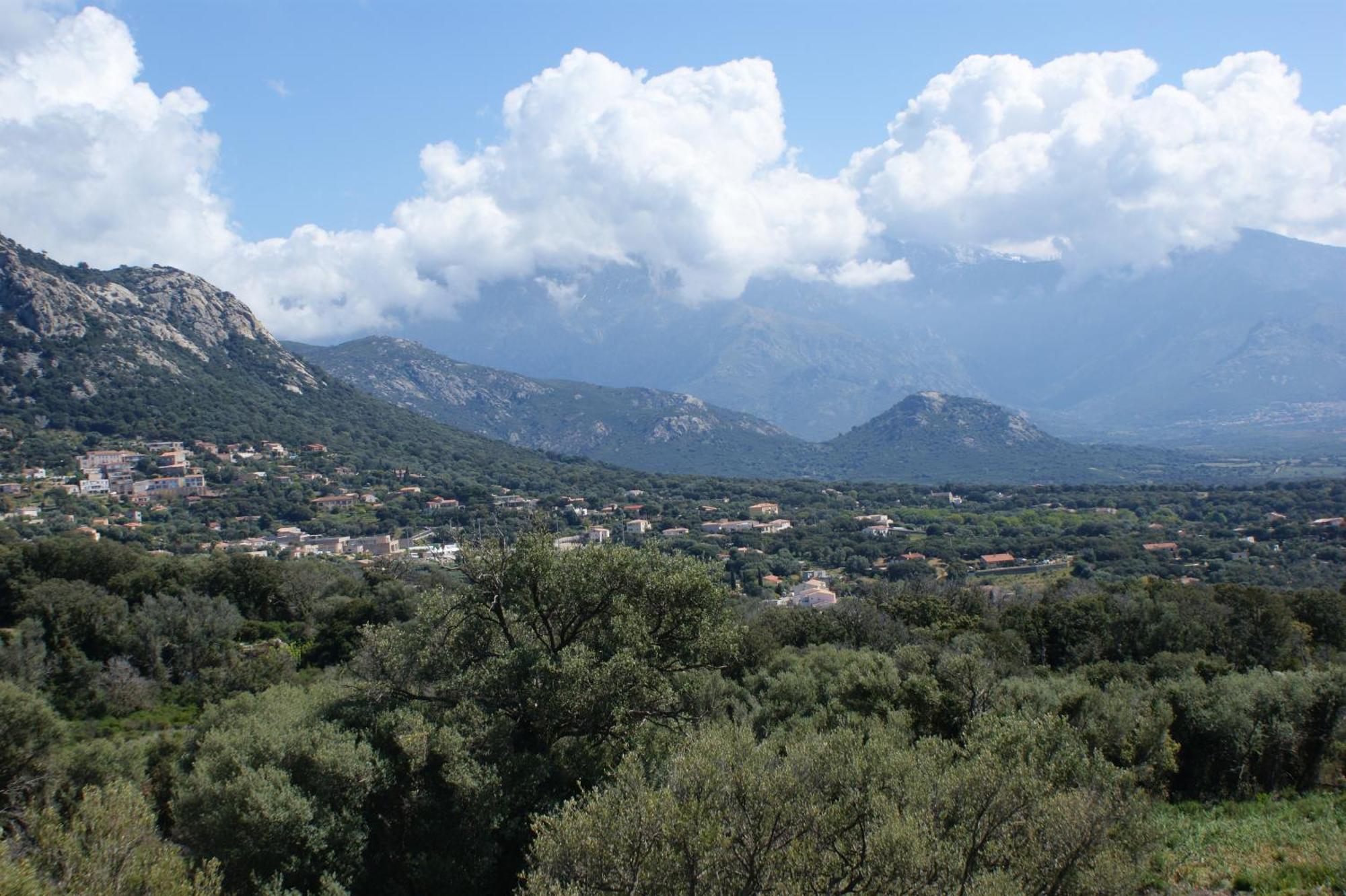 Belle Location Sur Lumio Avec Vue Remarquable Et Jardin Villa Kültér fotó